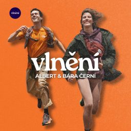 Artwork for Vlnění
