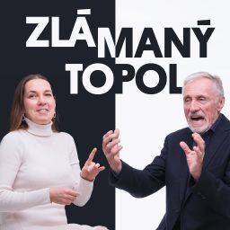 Artwork for Zlámaný Topol