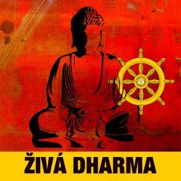Artwork for Živá Dharma