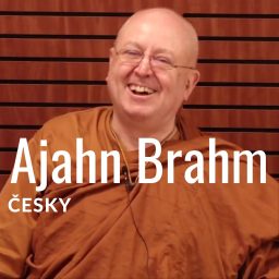 Artwork for Ajahn Brahm česky