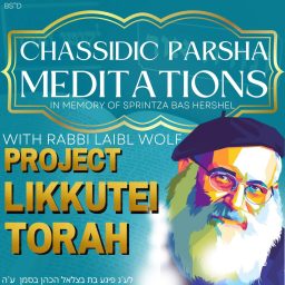 Artwork for Chassidic Parsha Meditations
