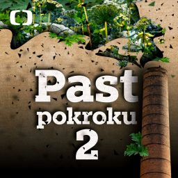 Artwork for Past pokroku