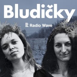 Artwork for Bludičky