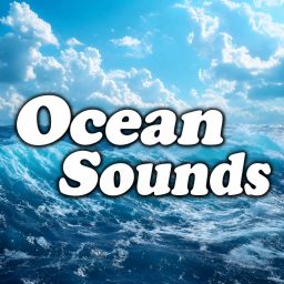 Artwork for Ocean Sounds
