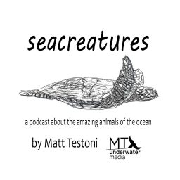Artwork for Seacreatures