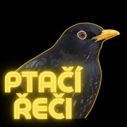 Artwork for Ptačí řeči