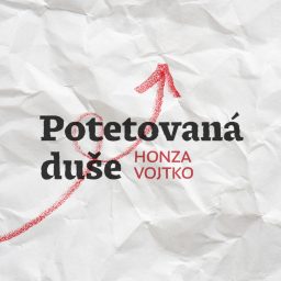 Artwork for Potetovaná duše