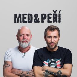 Artwork for Med a peří