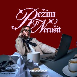 Artwork for Režim nerušit