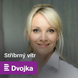 Artwork for Stříbrný vítr