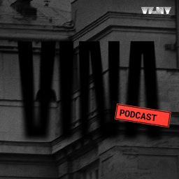 Artwork for VINA PODCAST