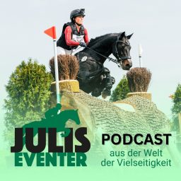 Artwork for Julis Eventer Podcast