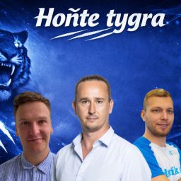 Artwork for Hoňte tygra