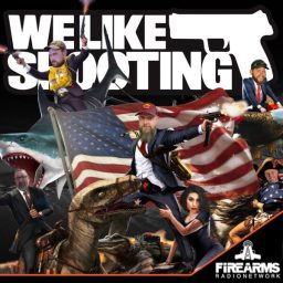 Artwork for We Like Shooting