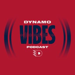 Artwork for Dynamo Vibes