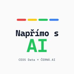 Artwork for Napřímo s AI