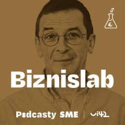 Artwork for Biznislab