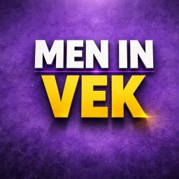 Artwork for MEN IN VEK
