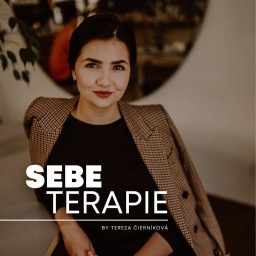 Artwork for SEBEterapie