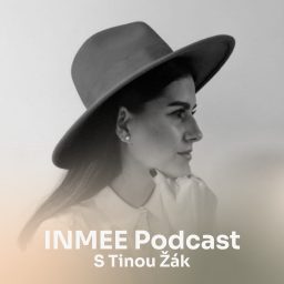 Artwork for INMEE Podcast