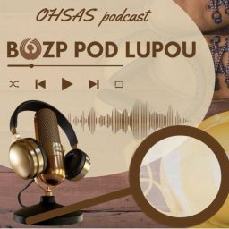 Artwork for Bozp pod lupou