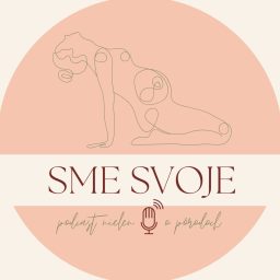 Artwork for Sme svoje