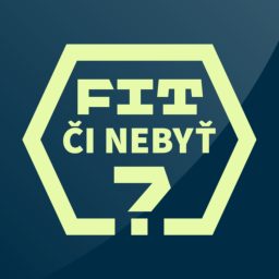 Artwork for Fit Či Nebyť