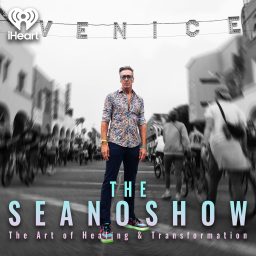 Artwork for The Seano Show