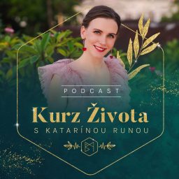 Artwork for KURZ ŽIVOTA