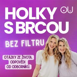 Artwork for Holky s BRCOU
