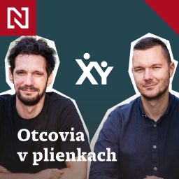 Artwork for Otcovia v plienkach