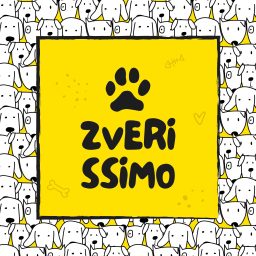 Artwork for Zverissimo