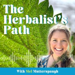 Artwork for The Herbalist's Path