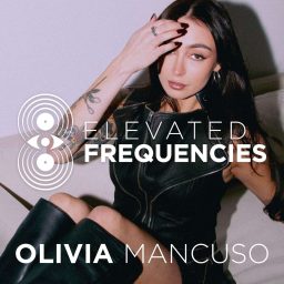 Artwork for Elevated Frequencies