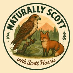 Artwork for NaturallyScott