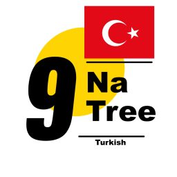 Artwork for 9Natree Turkish