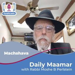 Artwork for Daily Maamar