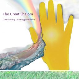 Artwork for The Great Shalom Podcast :  Overcoming Learning Problems