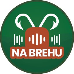 Artwork for Na brehu