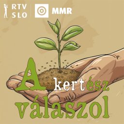 Artwork for A kertész válaszol