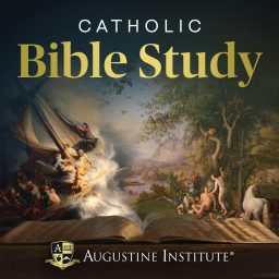 Artwork for Catholic Bible Study