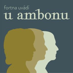 Artwork for U ambonu