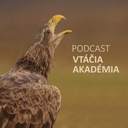Artwork for Vtáčia akadémia