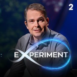 Artwork for Experiment
