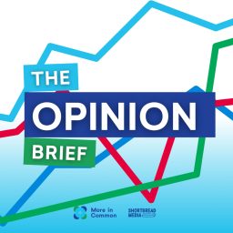 Artwork for The Opinion Brief