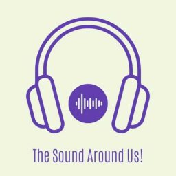 Artwork for The Sound Around Us!