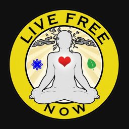 Artwork for Live Free Now w/ John Bush