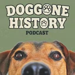 Artwork for Doggone History