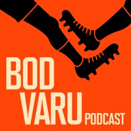 Artwork for Bod VARu