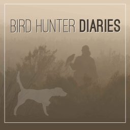 Artwork for Bird Hunter Diaries